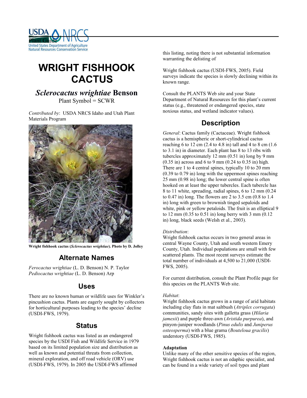 Plant Guide for Wright Fishhook Cactus (Sclerocactus Wrightiae)