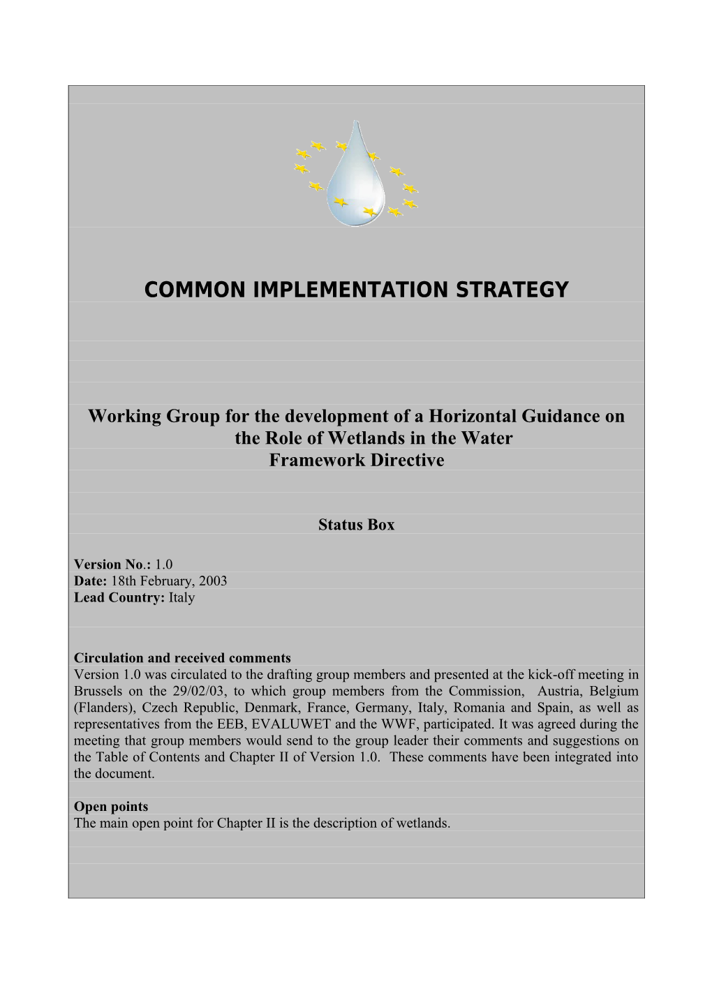 Common Implementation Strategy