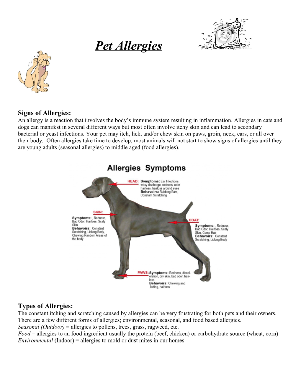 Signs of Allergies