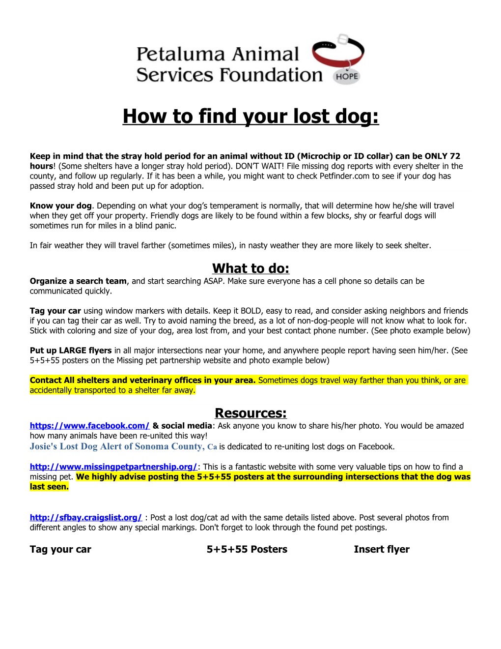 How to Find Your Lost Dog