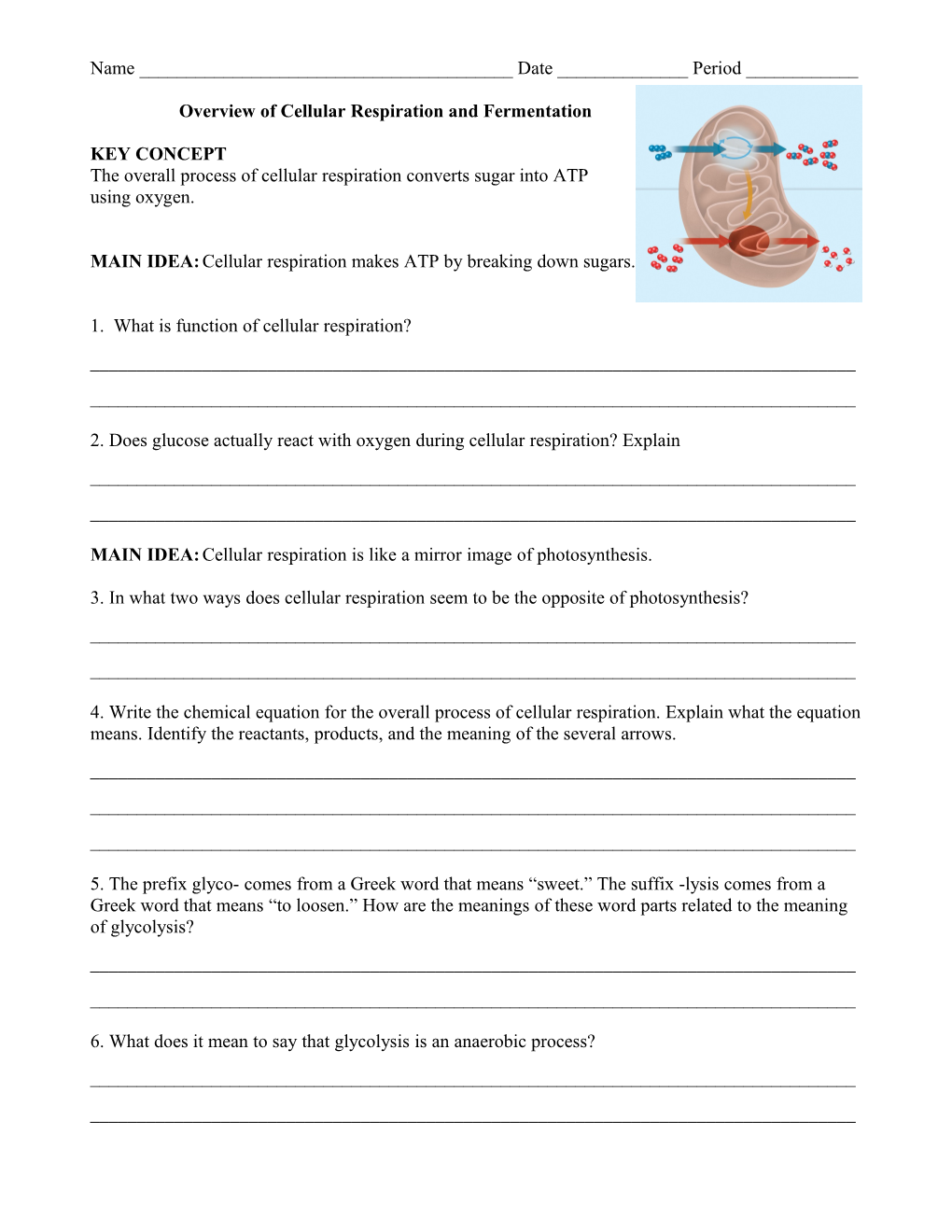 Overview of Cellular Respiration and Fermentation