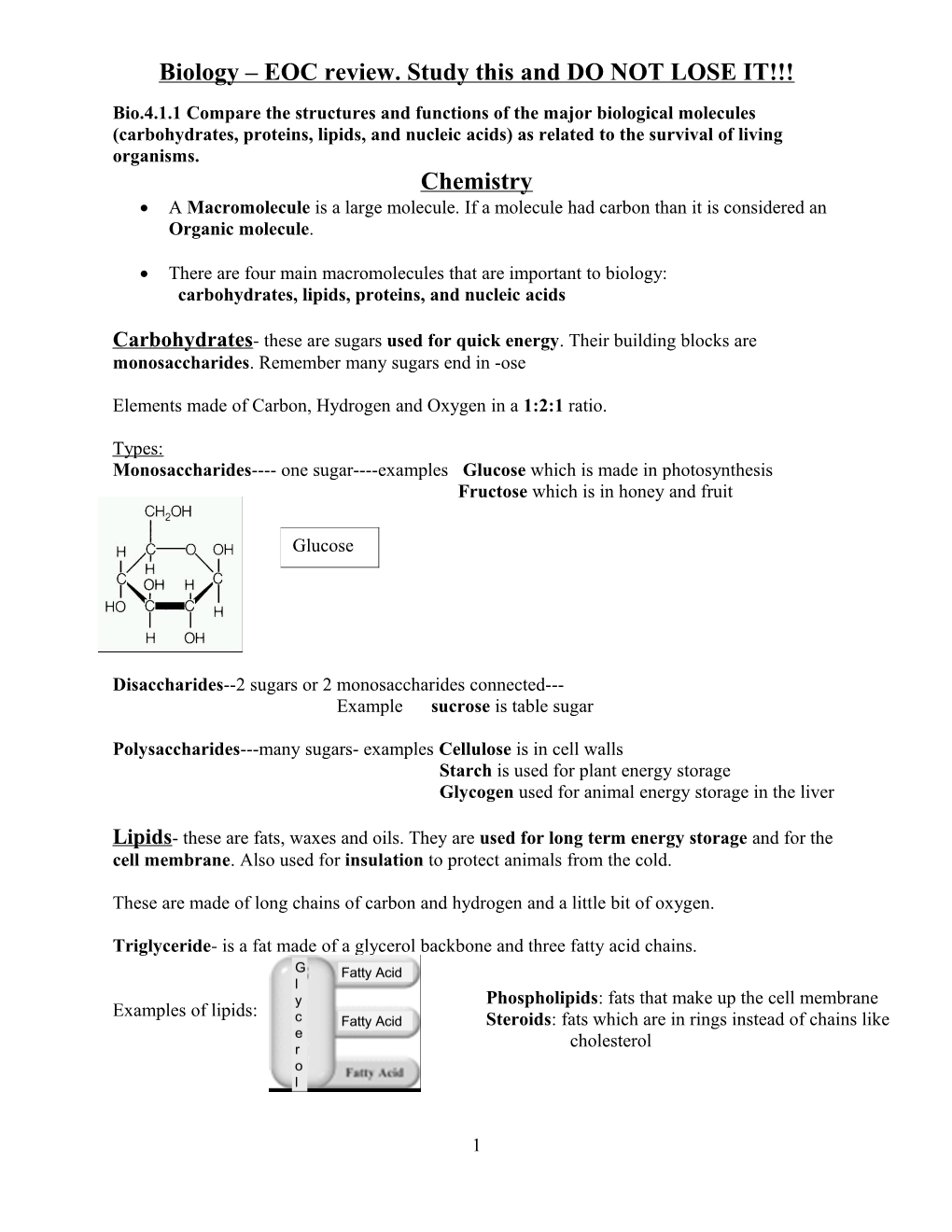 Biology Essential Standard 4