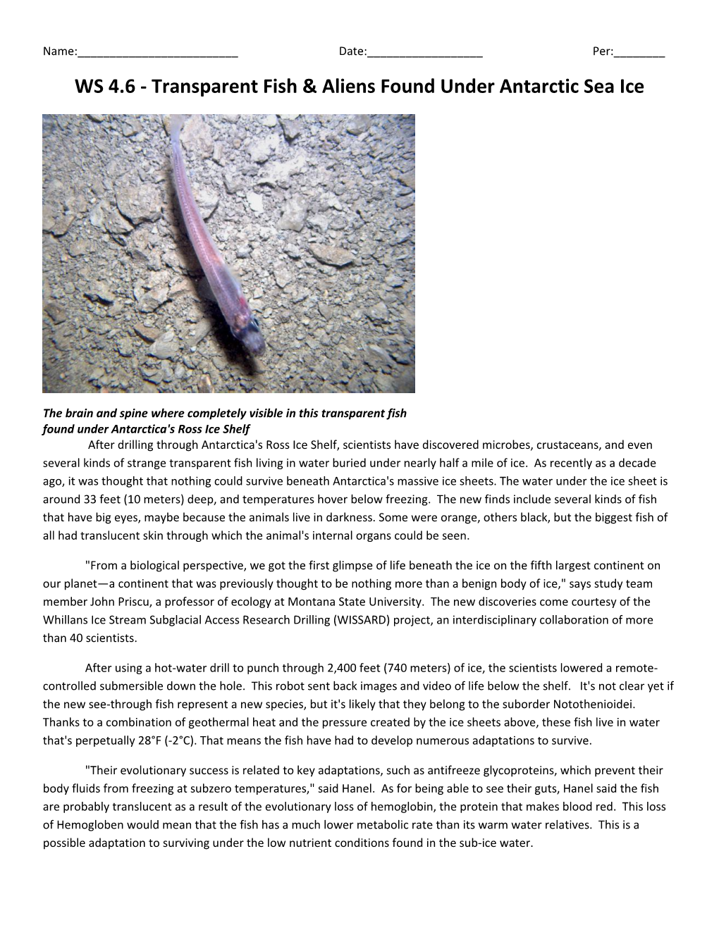 WS 4.6 - Transparent Fish & Aliens Found Under Antarctic Sea Ice