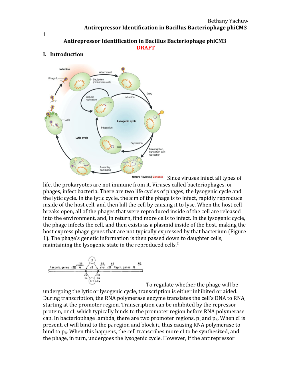 Antirepressor Identification in Bacillus Bacteriophage Phicm3