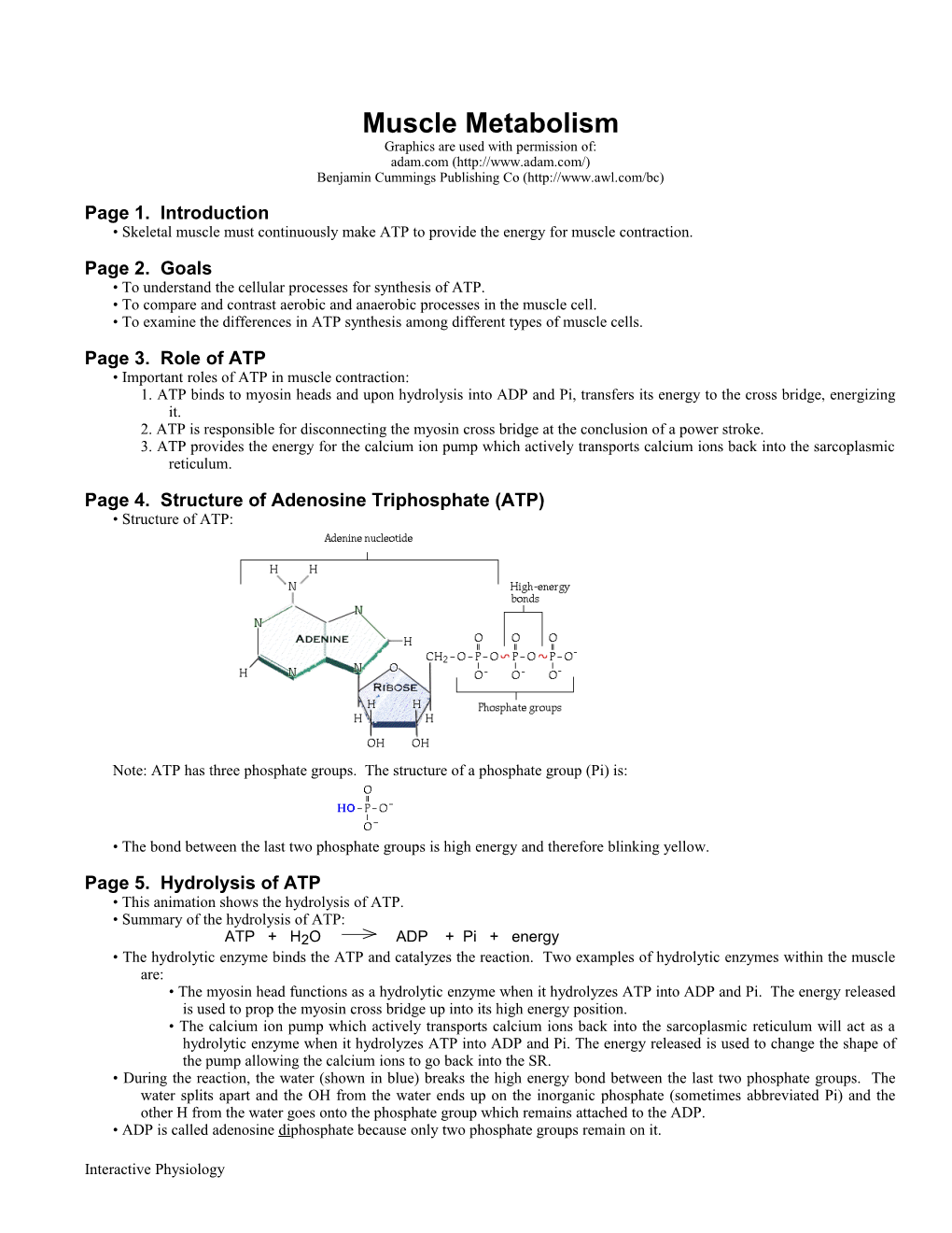 4.Muscle Metabolism HP