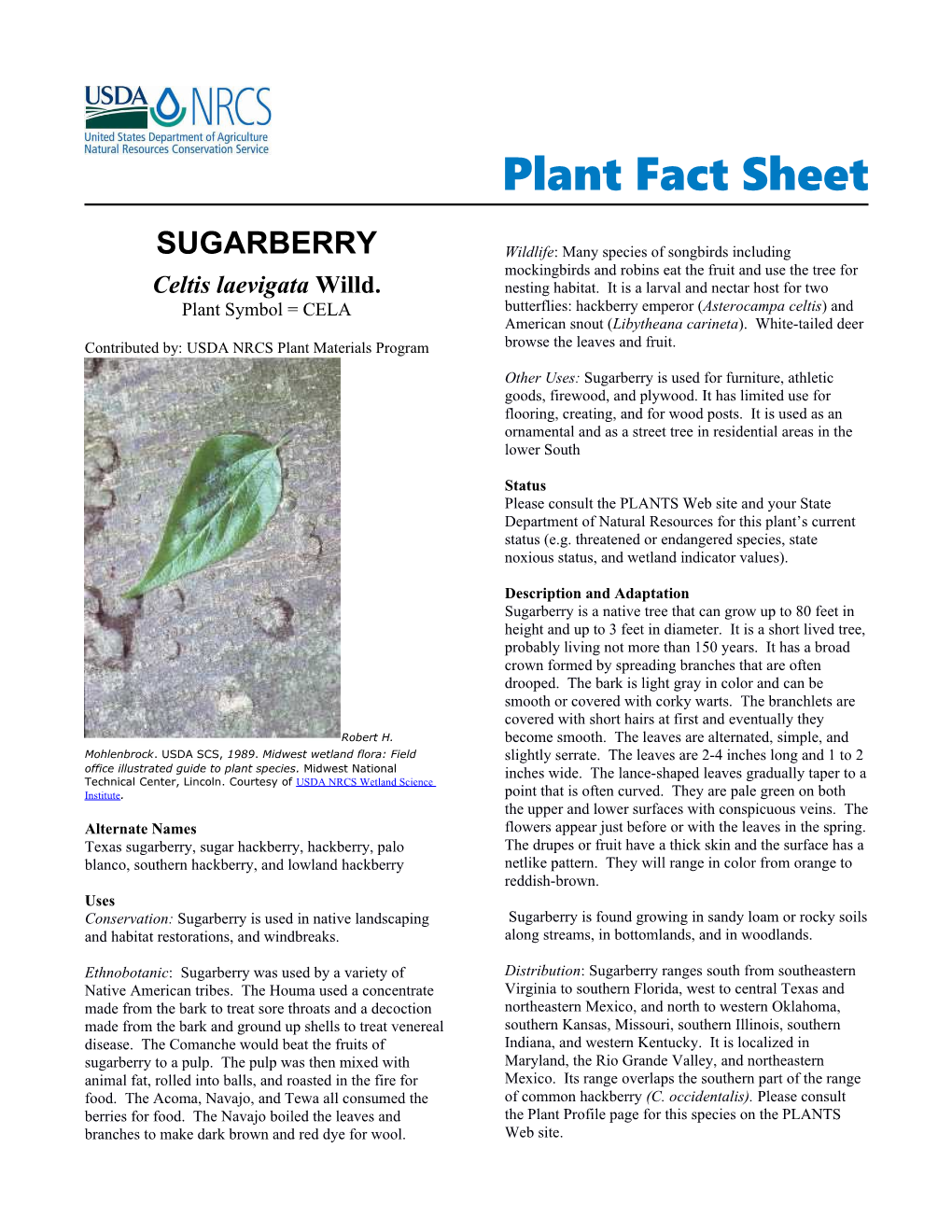 Sugarberry Plant Fact Sheet