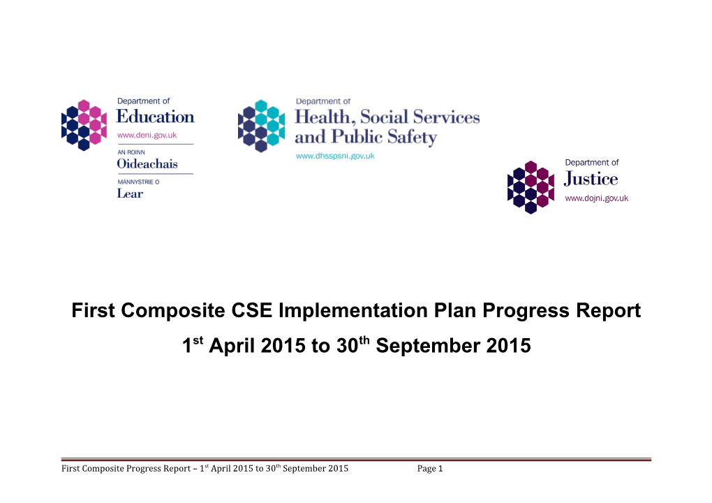 First Composite CSE Implementation Plan Progress Report
