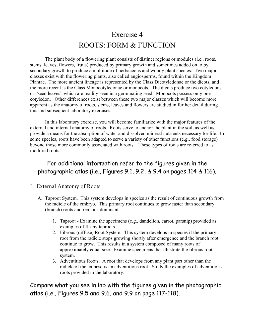Roots: Form & Function