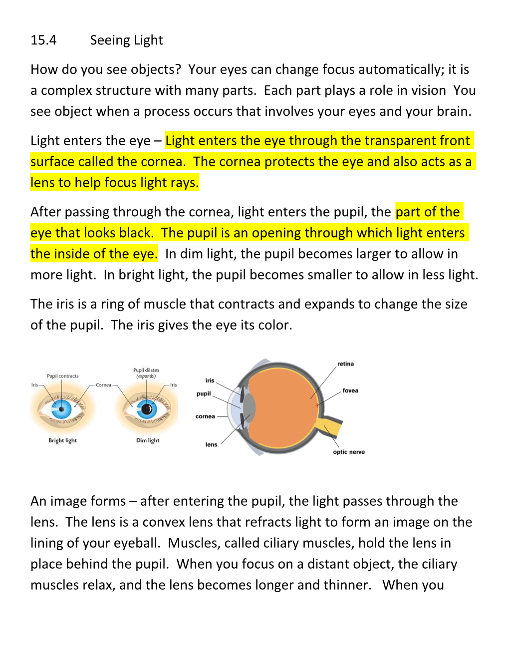 How Do You See Objects? Your Eyes Can Change Focus Automatically; It Is a Complex Structure