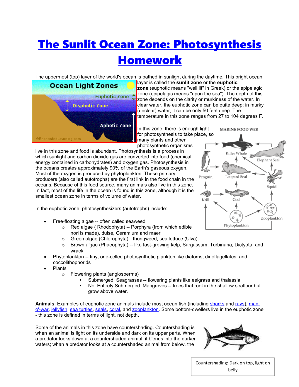 The Sunlit Ocean Zone: Photosynthesis Homework