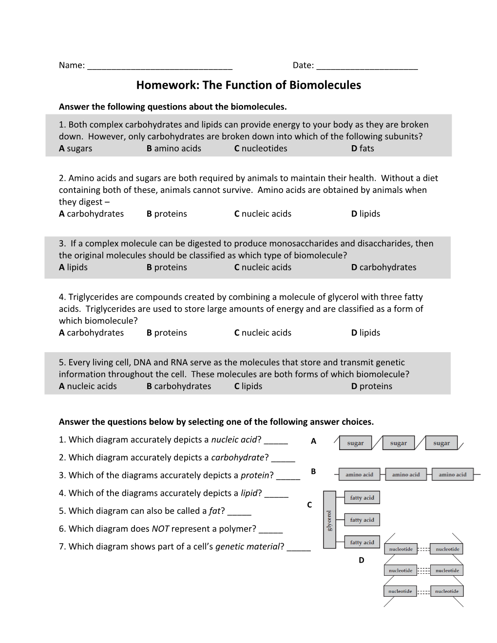 Homework: the Function of Biomolecules