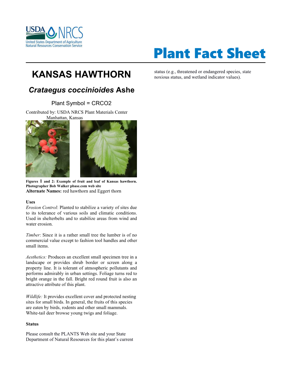 Kansas Hawthorn, Crataegus Coccinioides,Plant Fact Sheet