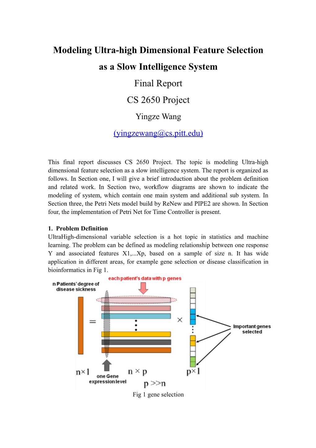 Typical Examples of Slow/Fast Intelligence System