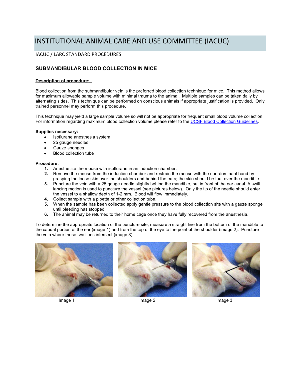 Submandibular Blood Collection in Mice