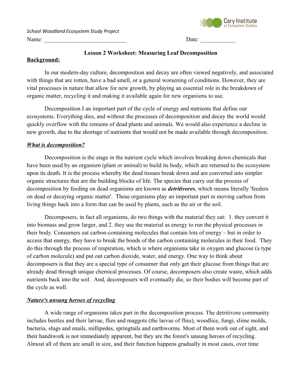 Lesson 2 Worksheet: Measuring Leaf Decomposition