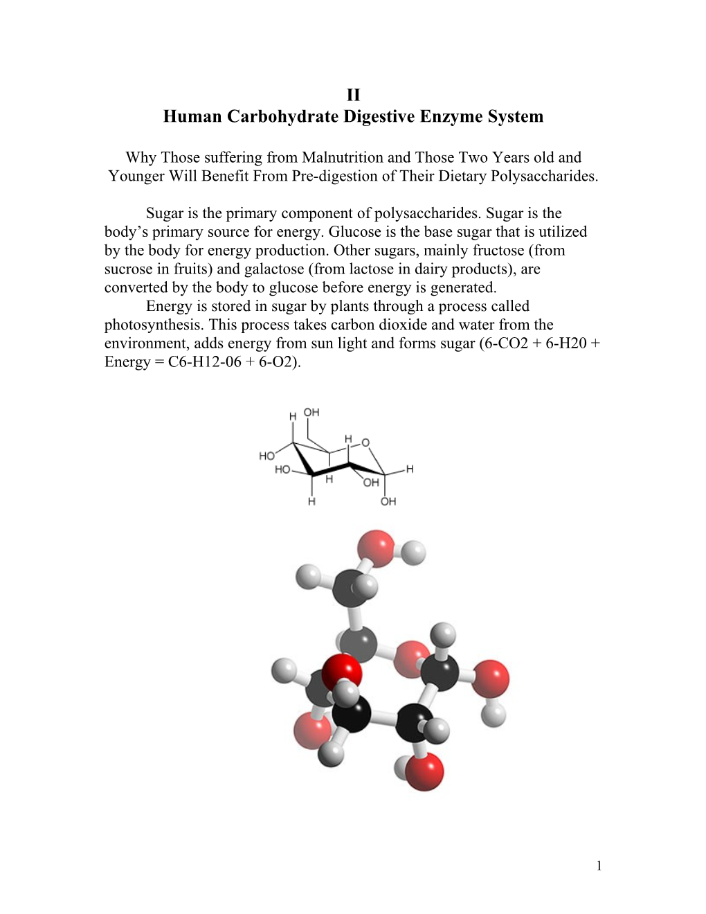 Human Carbohydrate Digestive Enzyme System