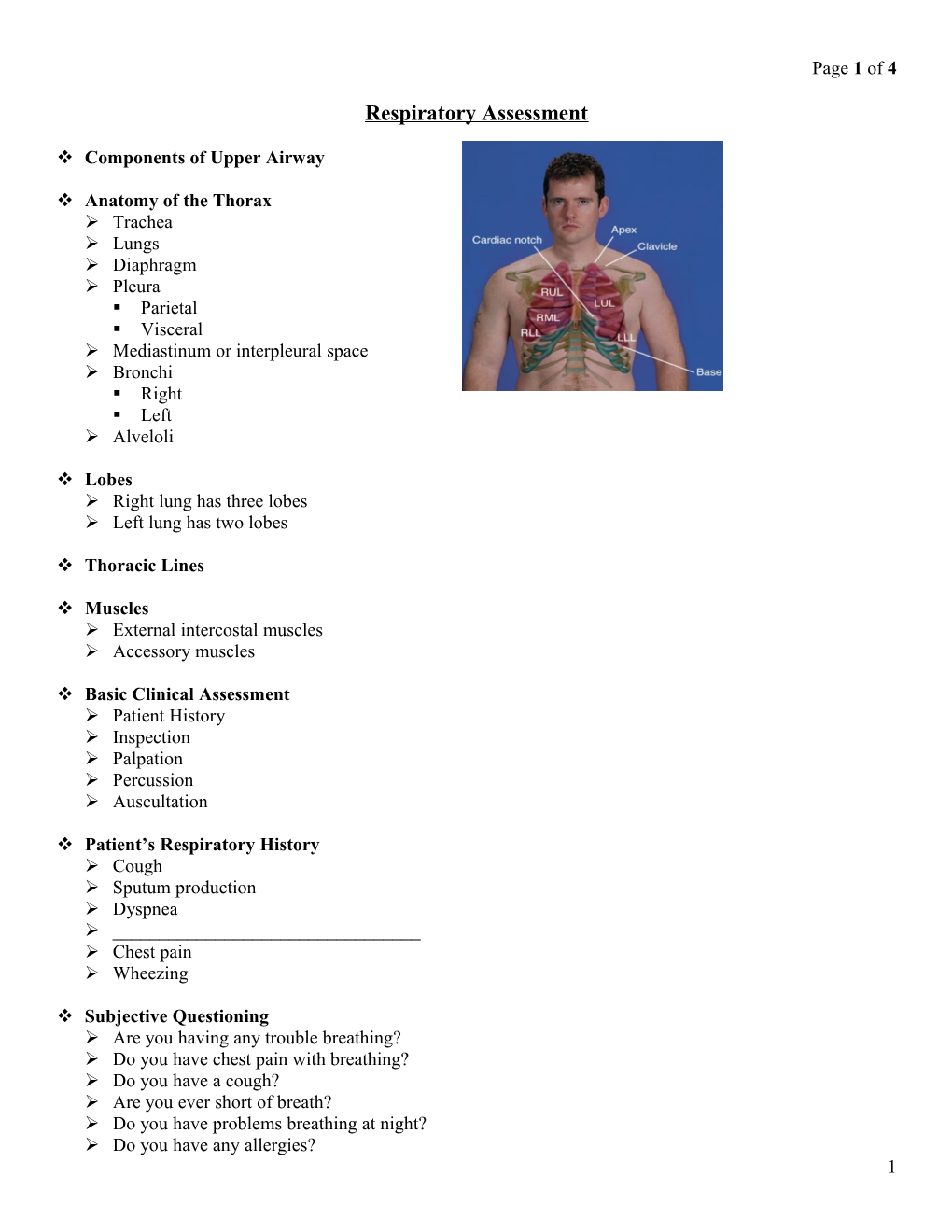 Components of Upper Airway