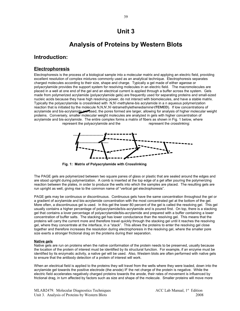 Analysis of Proteins by Western Blots