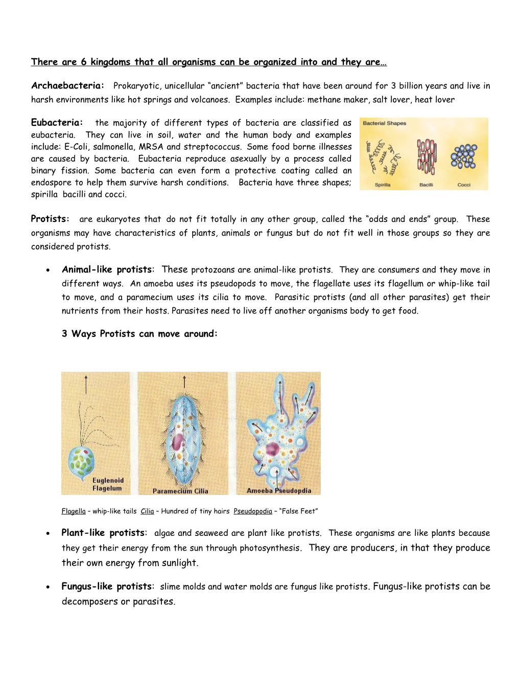 Classification, Bacteria, Protists, and Fungi Test Study Guide