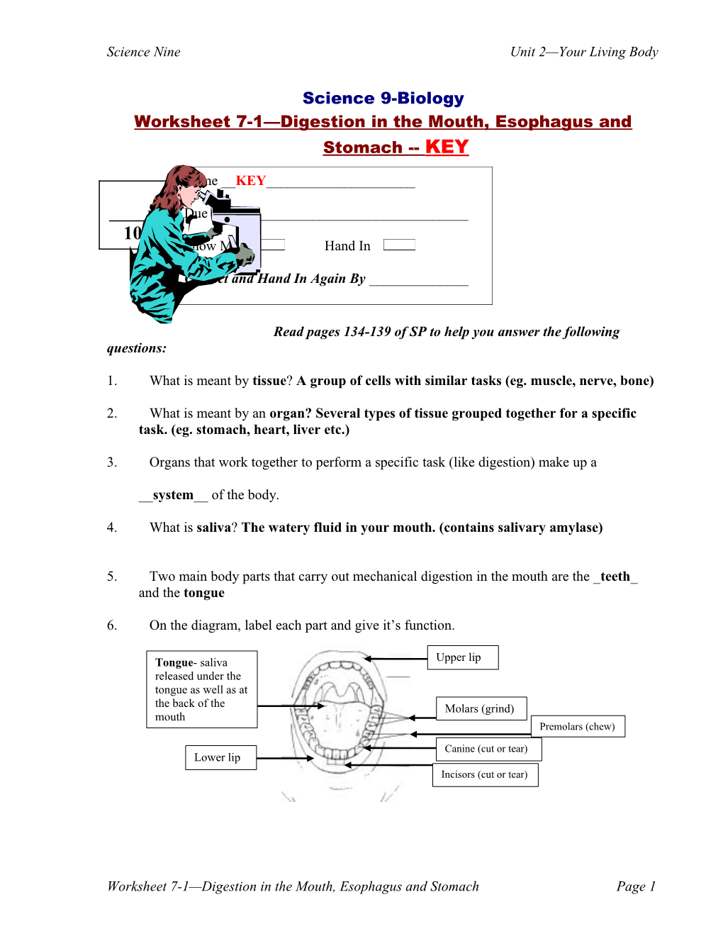 Worksheet 7-1 Digestion in the Mouth, Esophagus and Stomach KEY