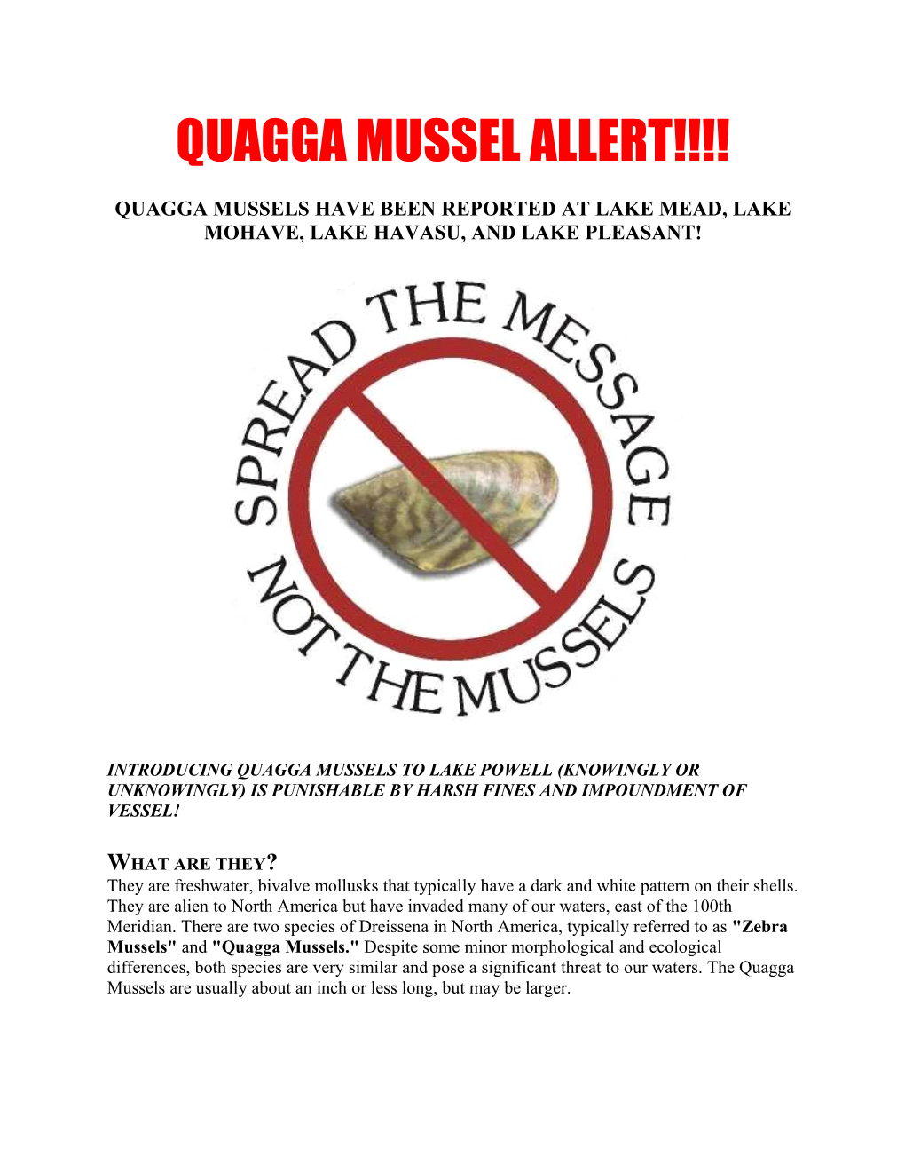 Quagga Mussels Have Been Reported at Lake Mead, Lake Mohave, Lake Havasu, and Lake Pleasant!