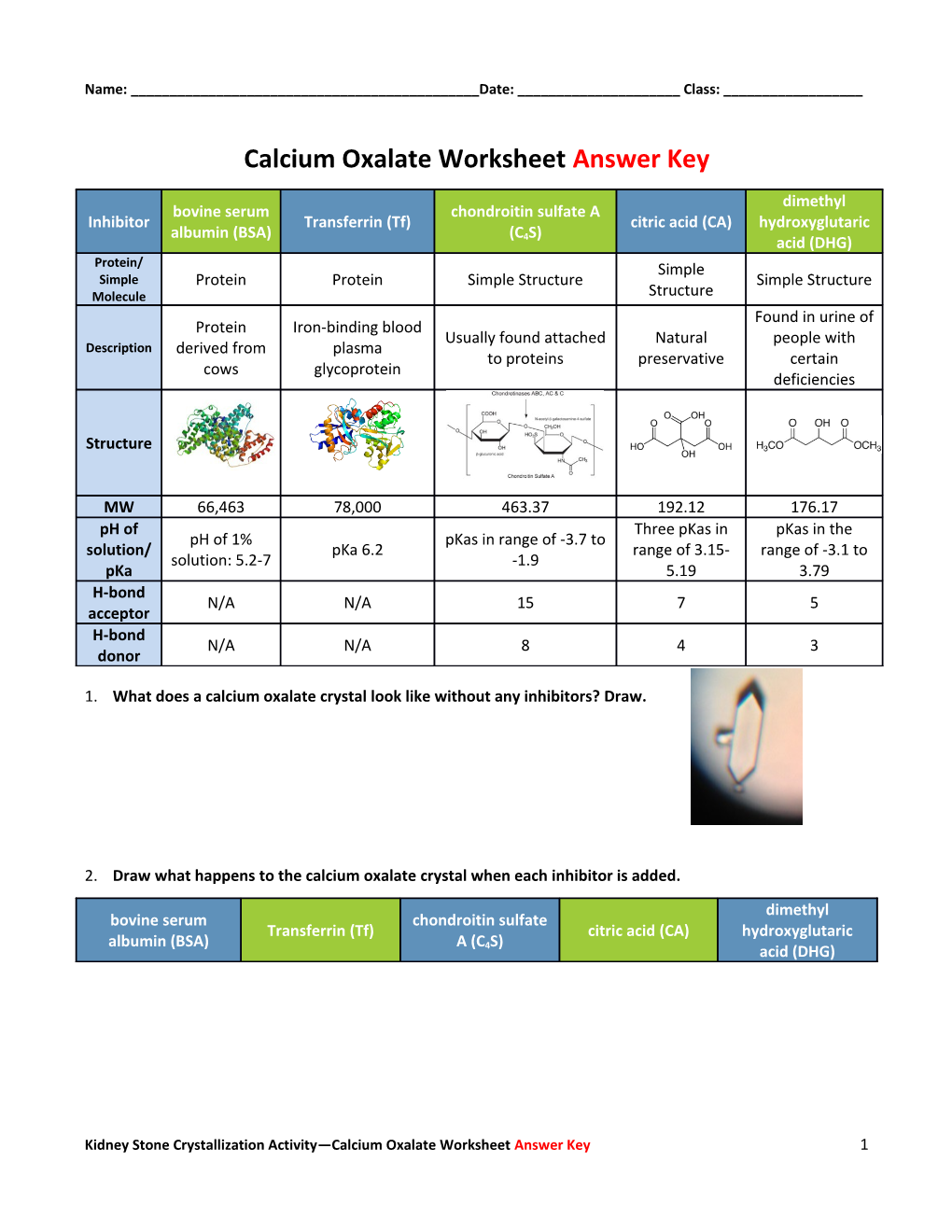 Calcium Oxalate Worksheet Answer Key
