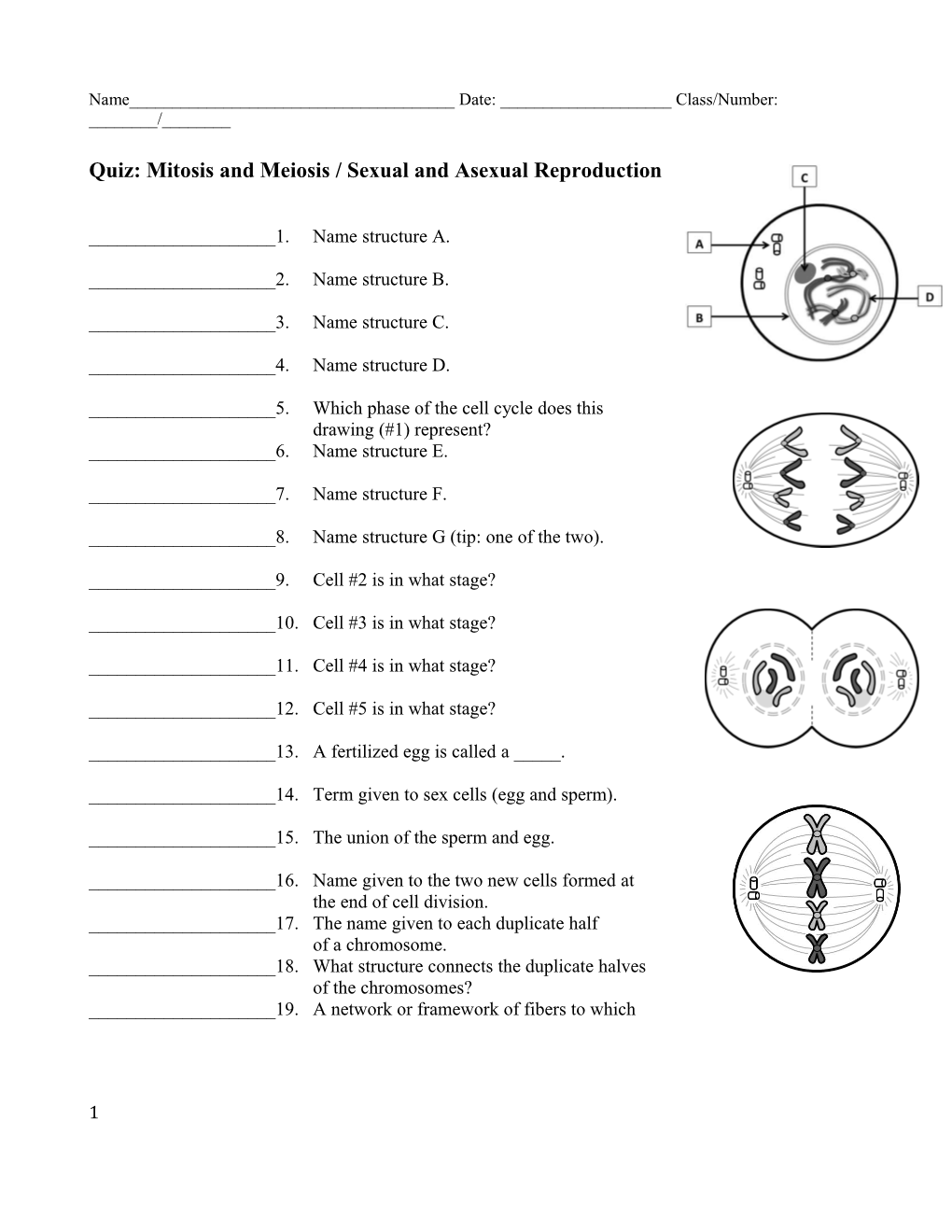 Quiz: Mitosis and Meiosis / Sexual and Asexual Reproduction