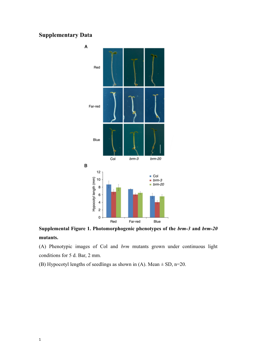 Supplemental Figure 1.Photomorphogenic Phenotypesof the Brm-3 and Brm-20 Mutants