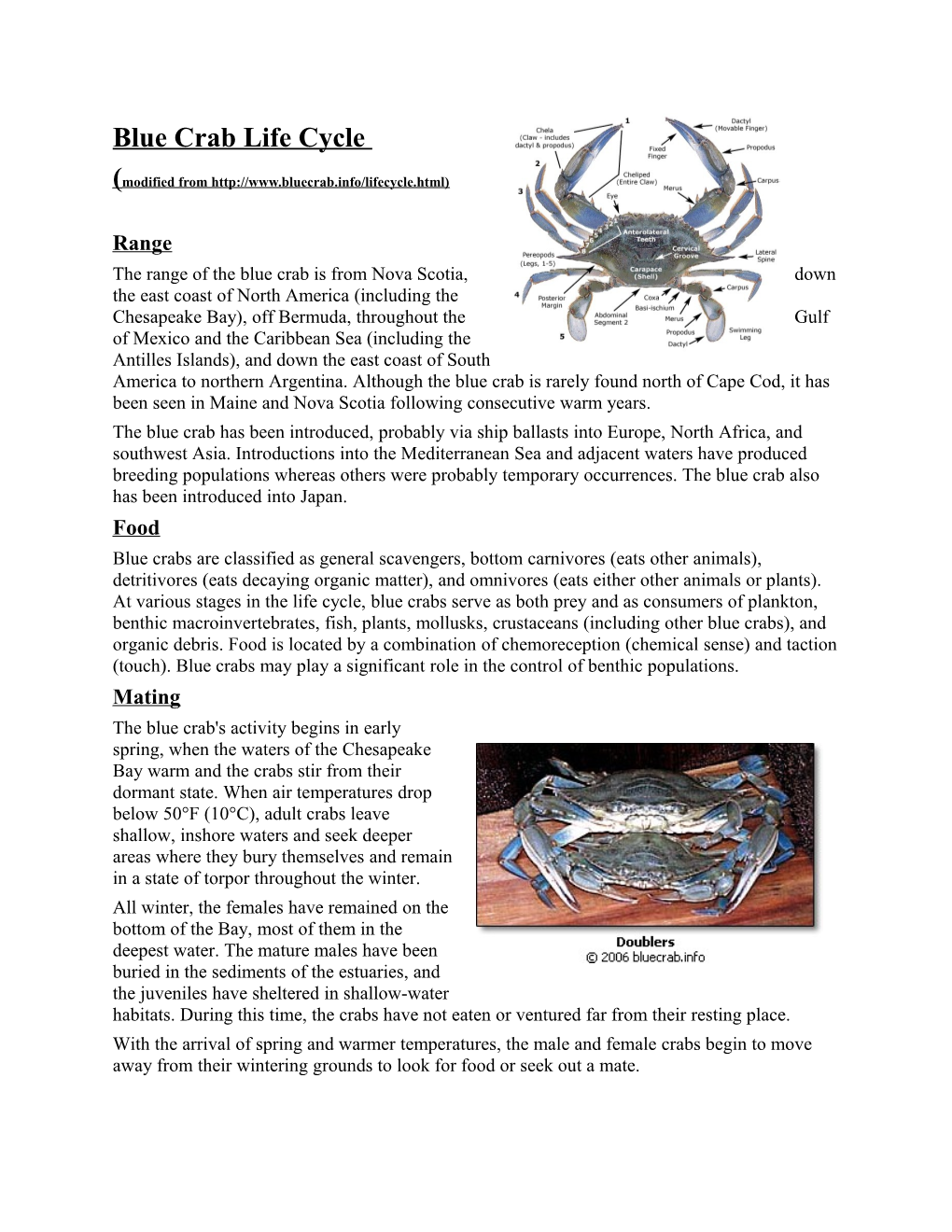 Blue Crab Life Cycle