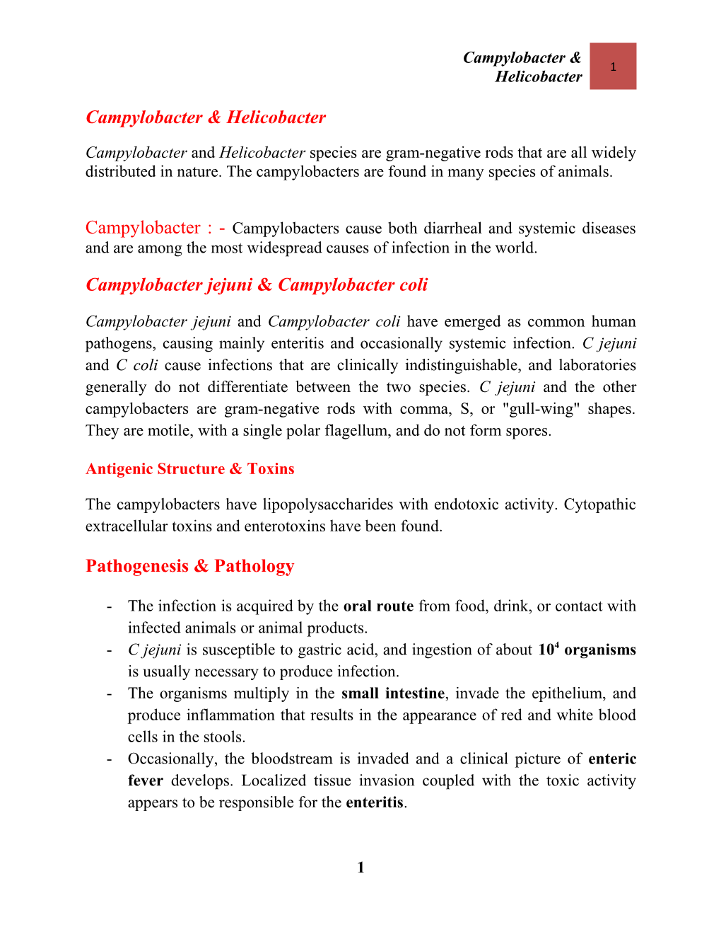 Campylobacter & Helicobacter