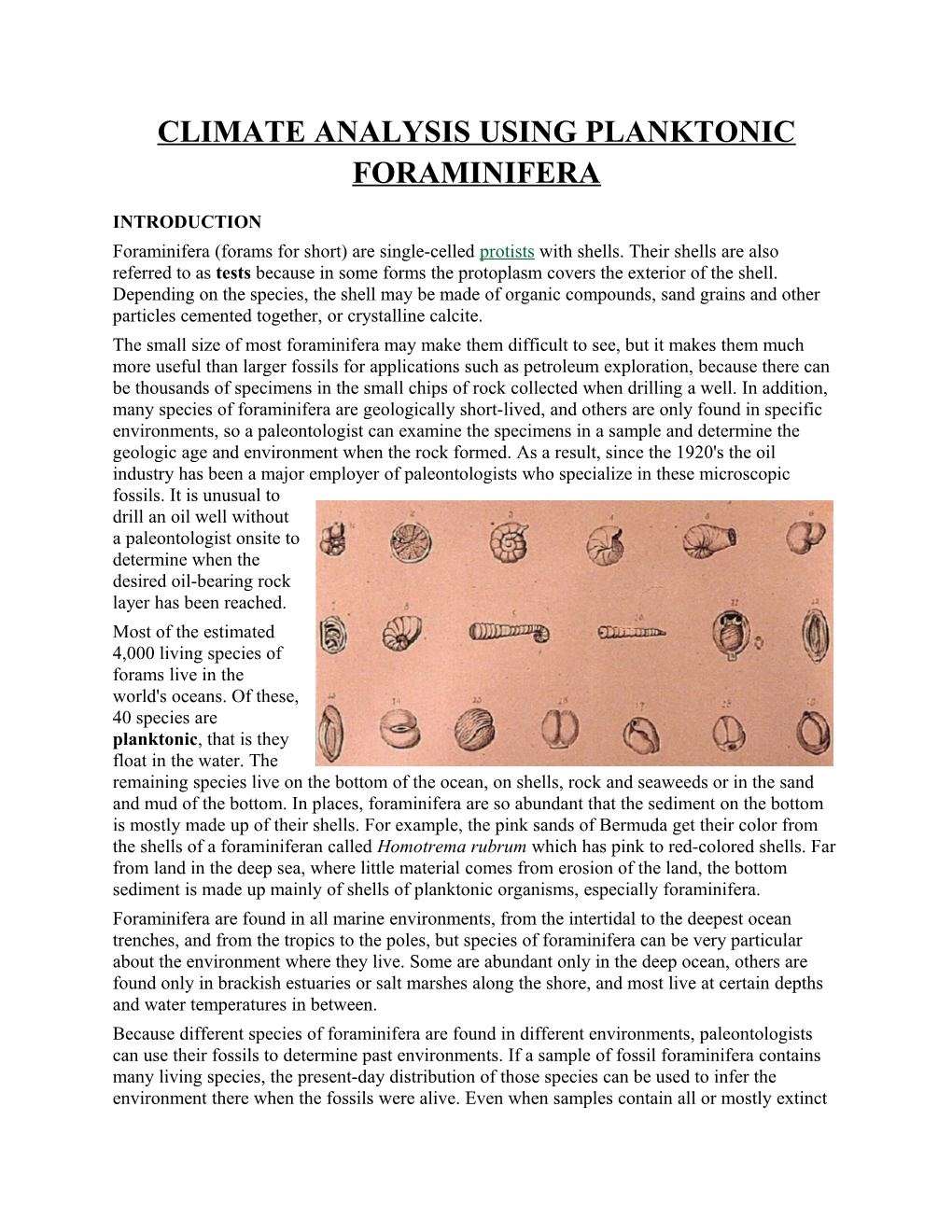 Climate Analysis Using Planktonic Foraminifera