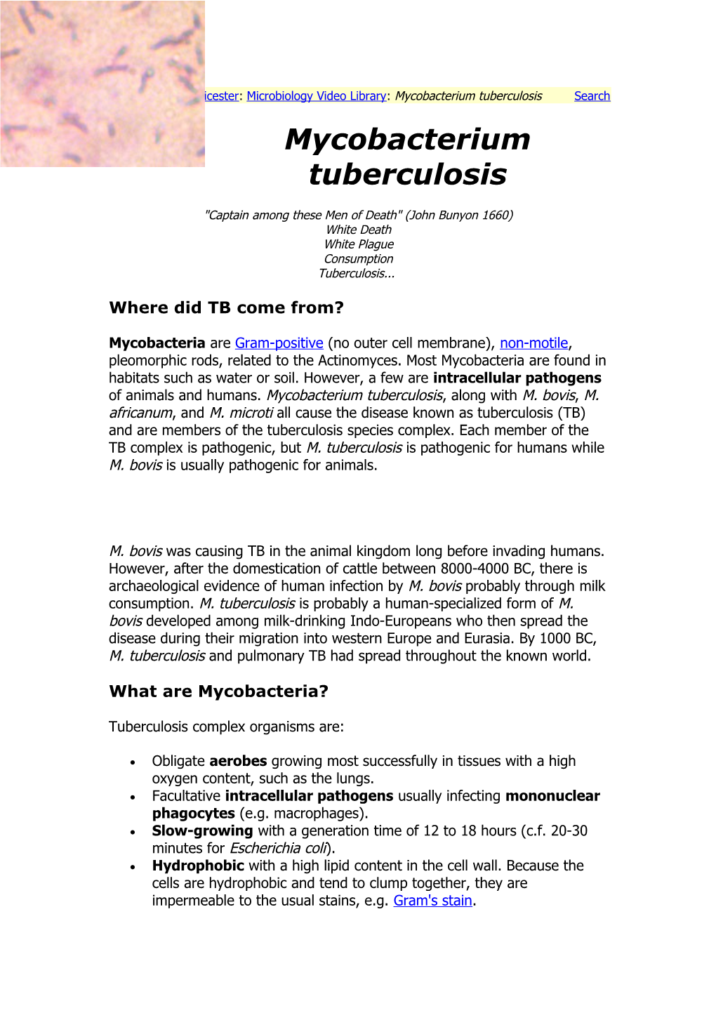 Microbiology Leicester: Microbiology Video Library: Mycobacterium Tuberculosis