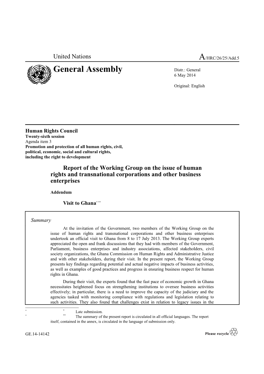 Report of the Working Group on the Issue of Human Rights and Transnational Corporations