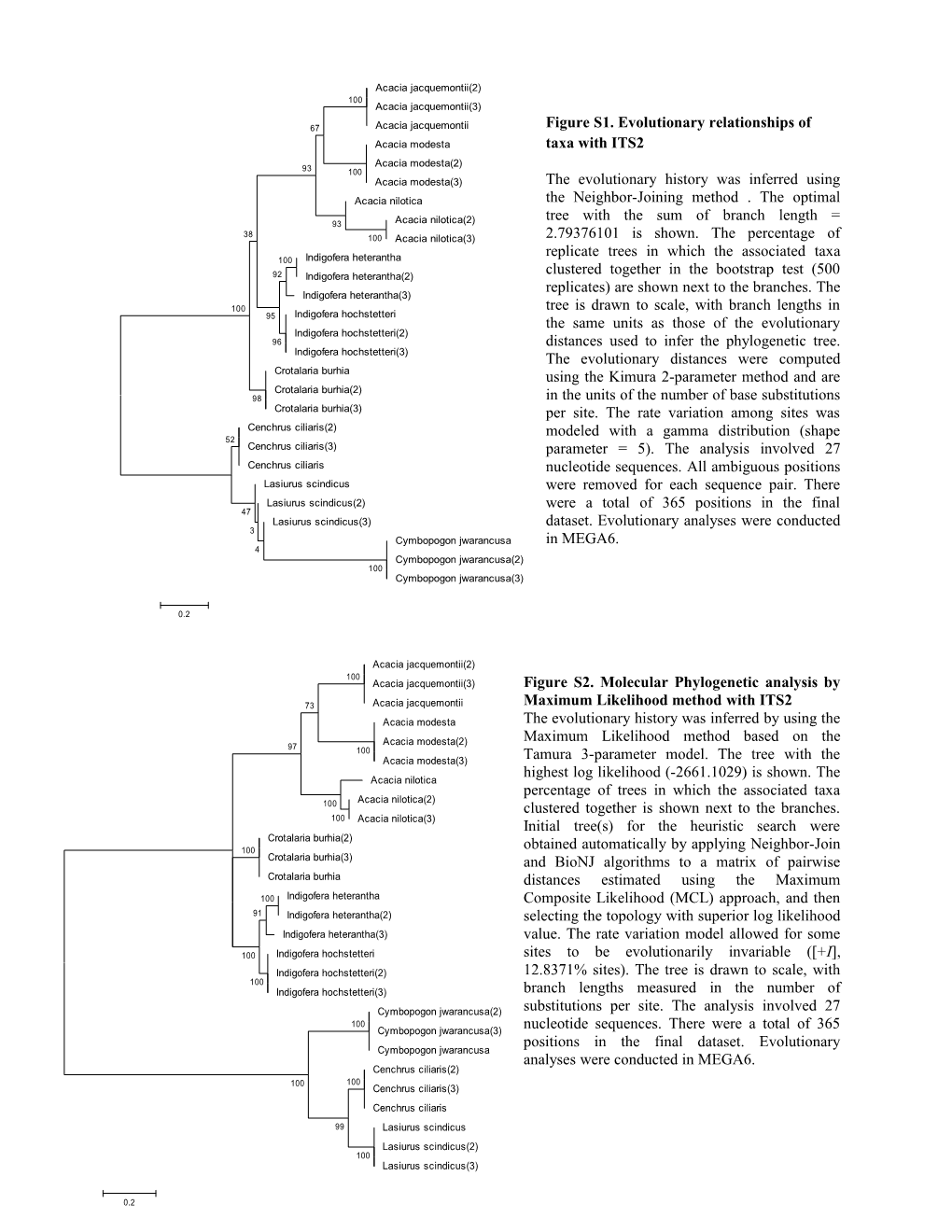 Figure S2. Molecular Phylogenetic Analysis by Maximum Likelihood Method with ITS2