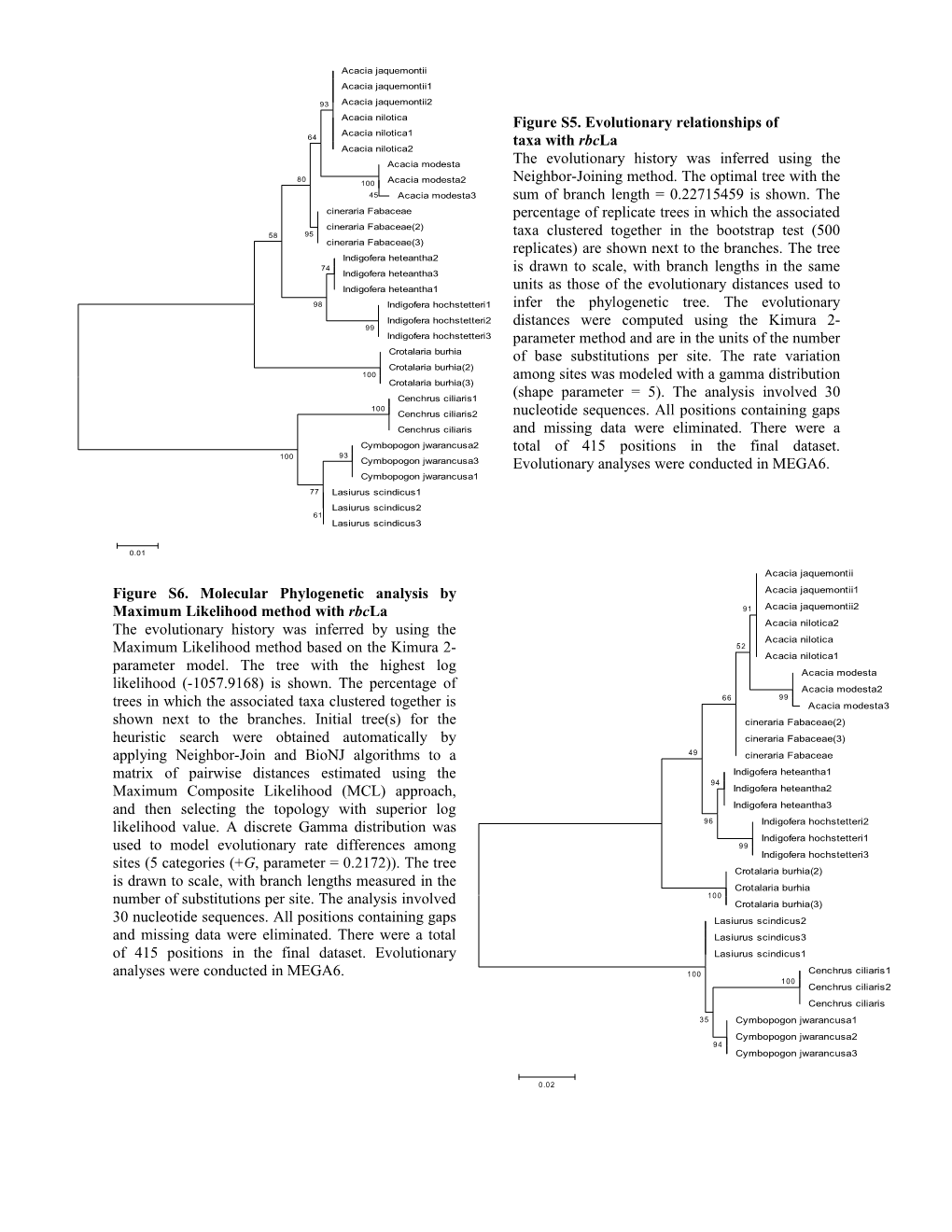 Figure S2. Molecular Phylogenetic Analysis by Maximum Likelihood Method with ITS2