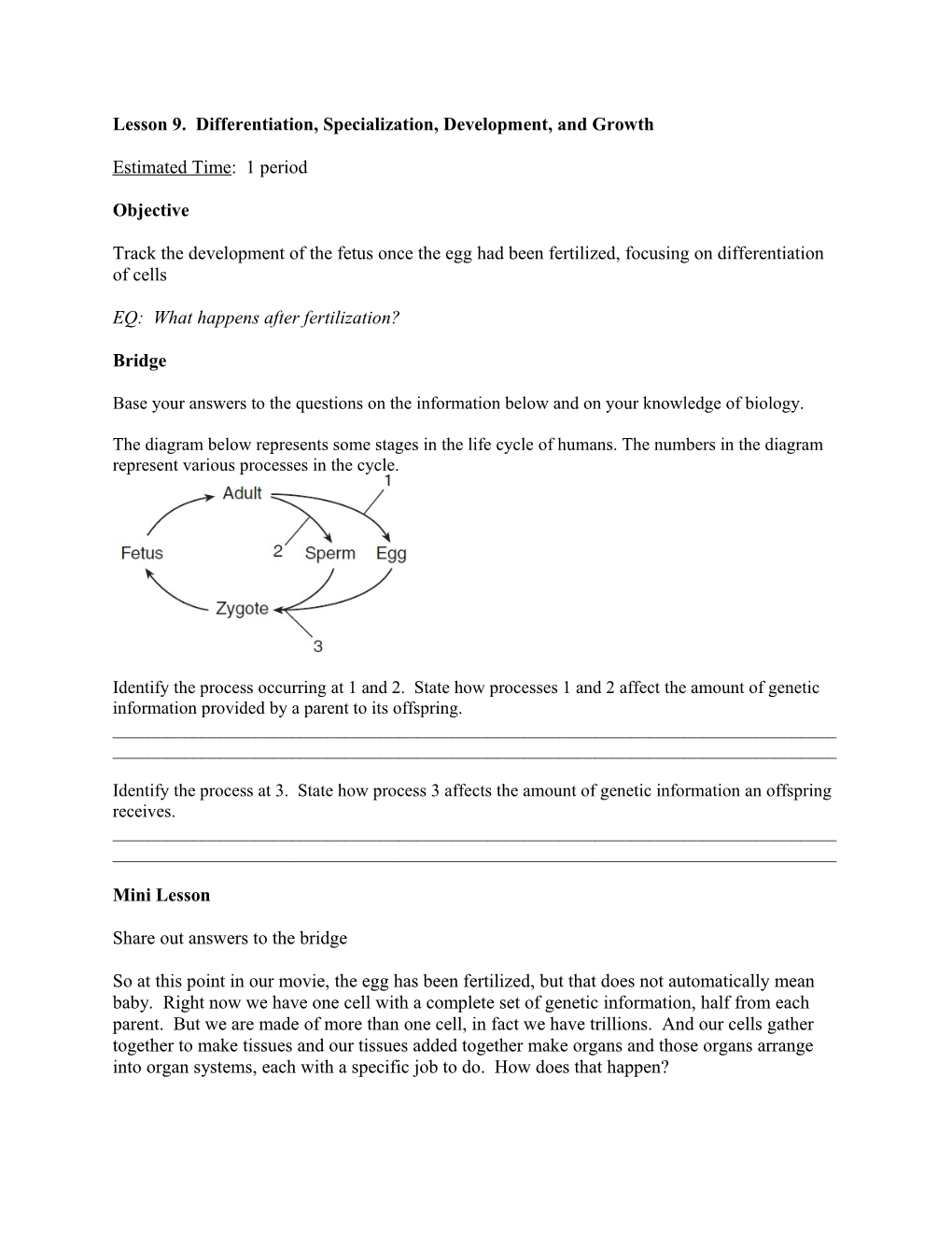 Lesson 9. Differentiation, Specialization, Development, and Growth