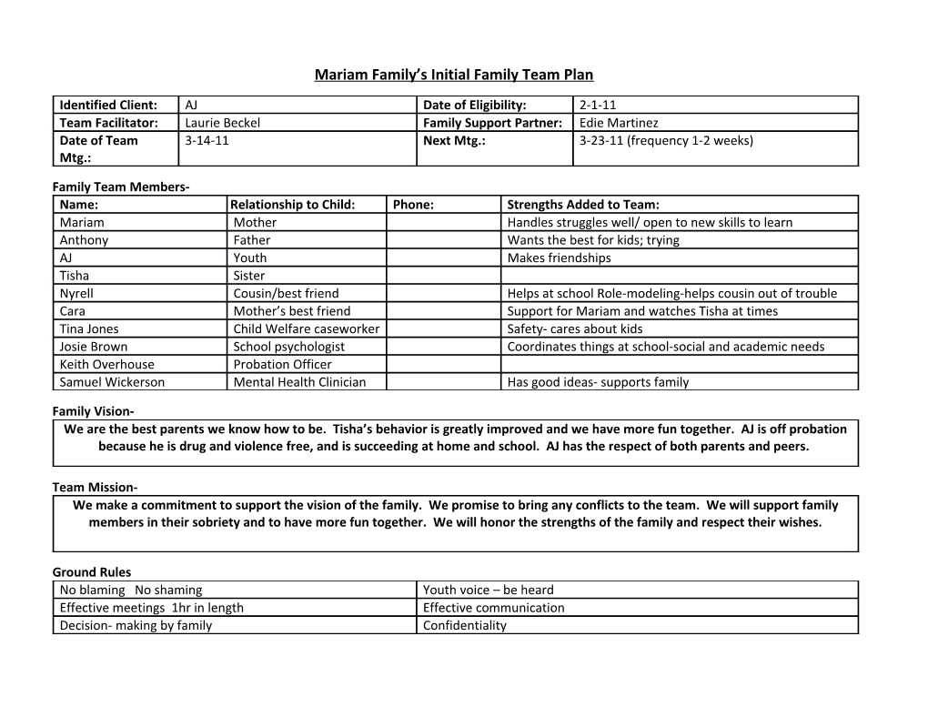 Mariam Family S Initial Family Team Plan