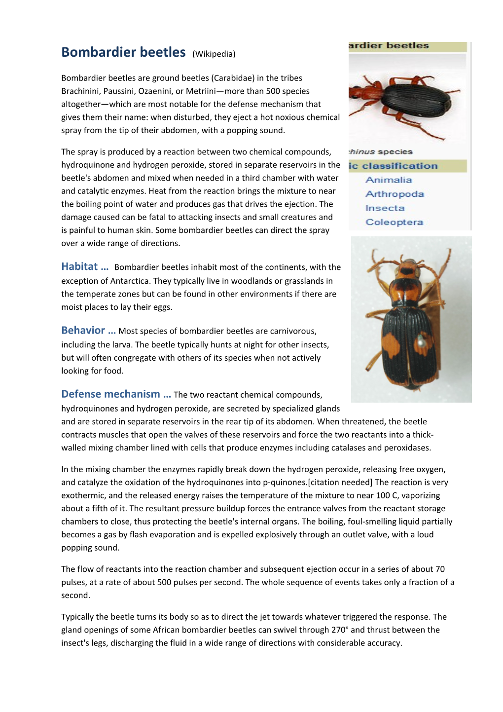 Bombardier Beetles (Wikipedia)