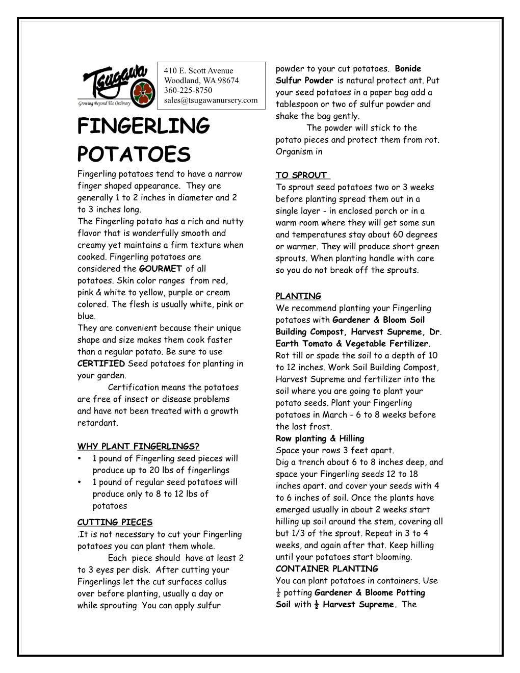 Fingerling Potatoes