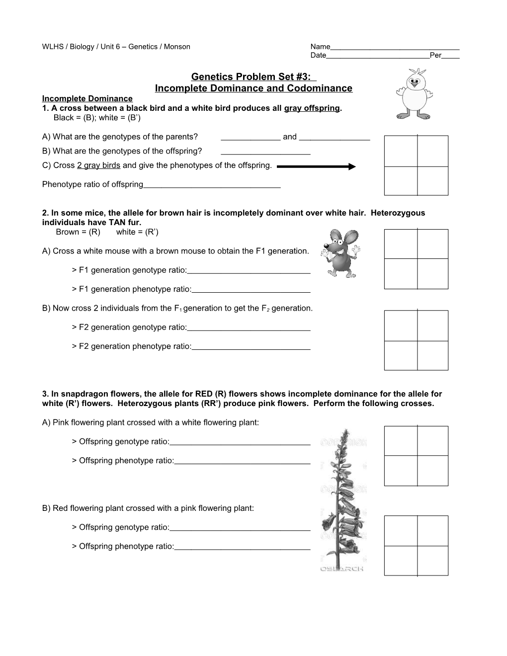 WLHS / Biology / Unit 6 Genetics / Monsonname