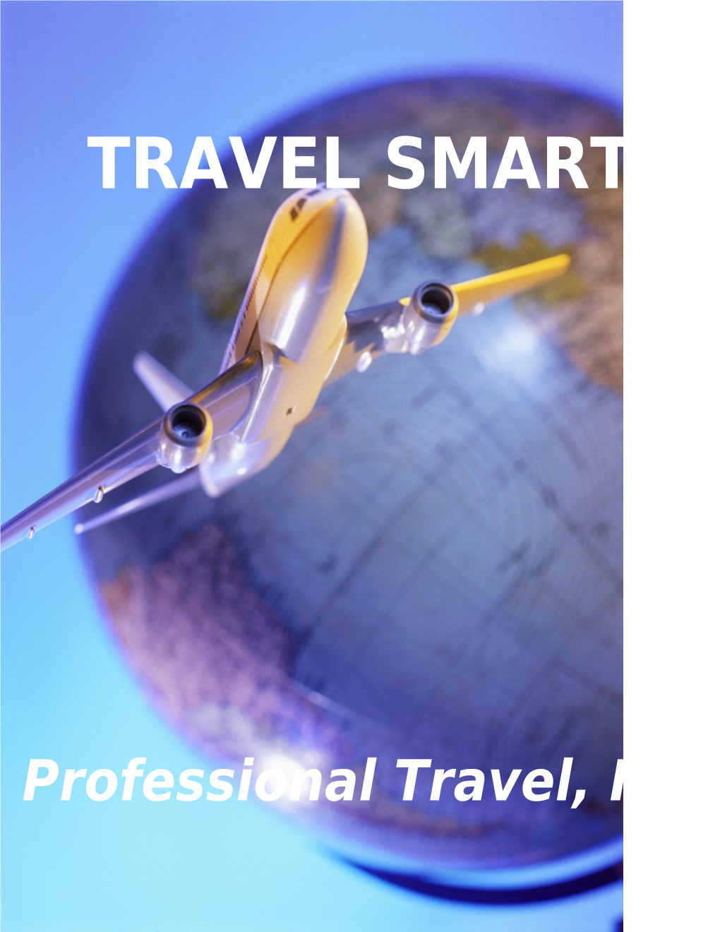 Traveling Safe with Professional Travel