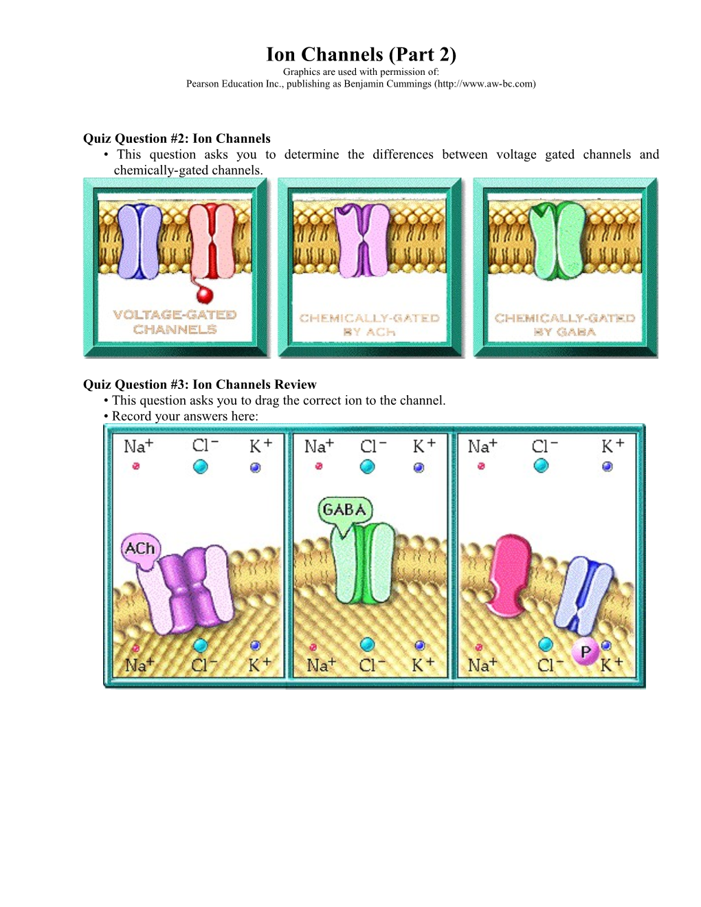 Ion Channels (Part 2)