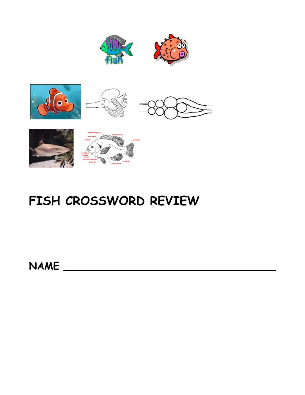 Fish Clues Crossword Review