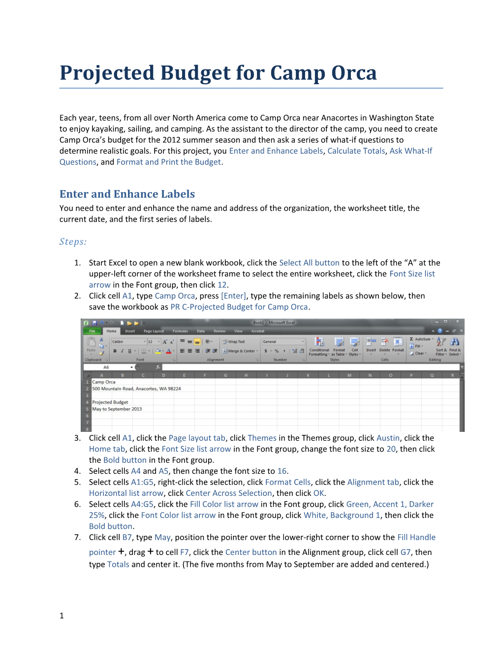 Projected Budget for Camp Orca