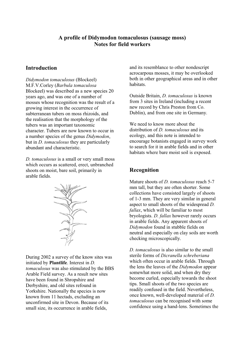 A Profile of Didymodon Tomaculosus (Sausage Moss)