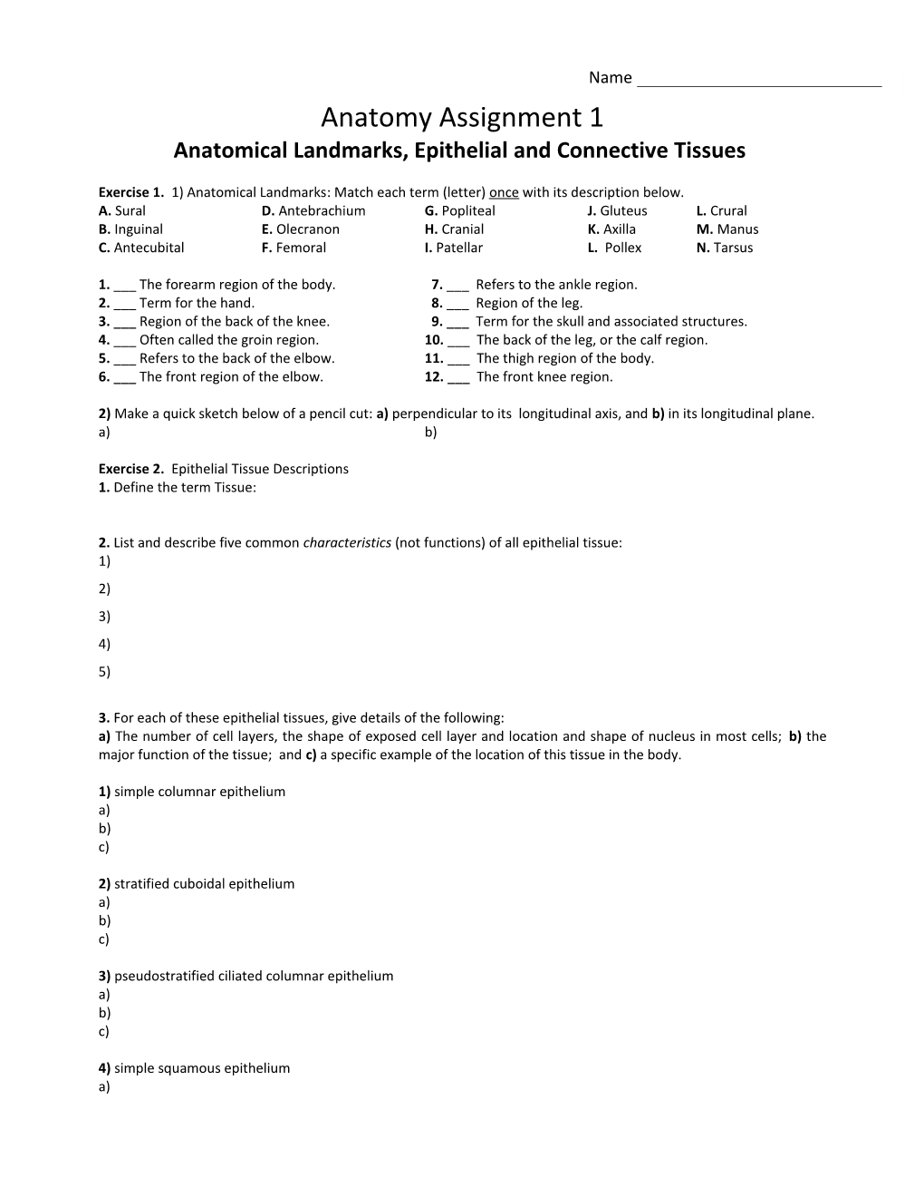 Anatomical Landmarks, Epithelial and Connective Tissues