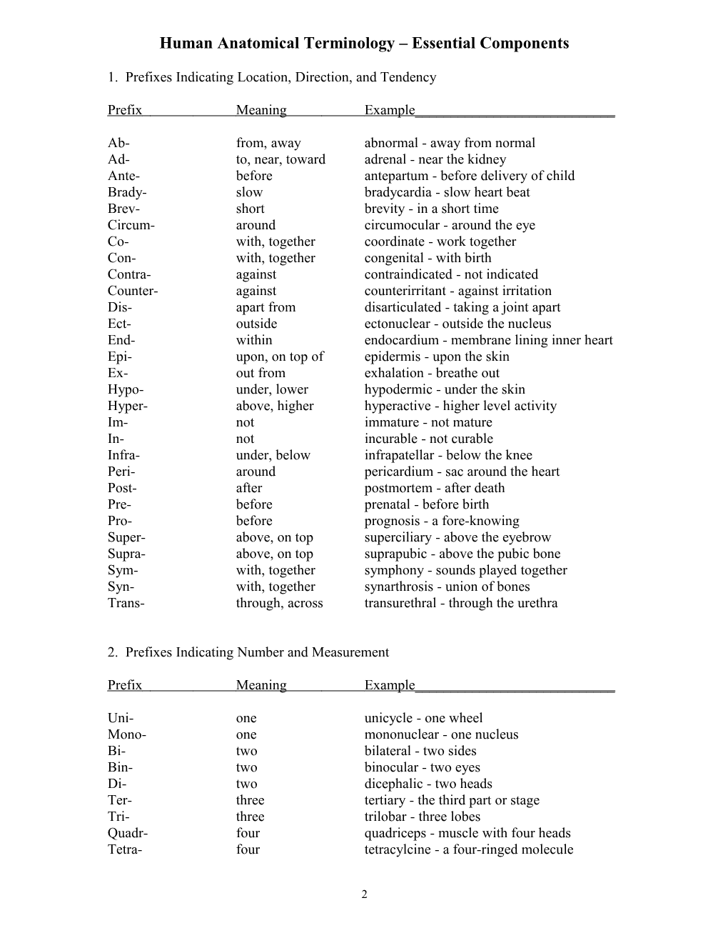 Human Anatomical Terminology Essential Components