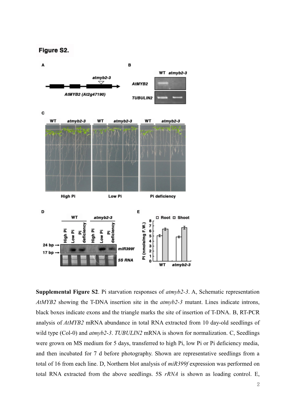 Regulation of Mir399f Transcription by Atmyb2 Affects Phosphate-Starvation Responses In