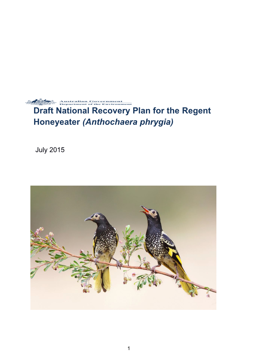 Draft National Recovery Plan for the Regent Honeyeater (Anthochaera Phrygia)