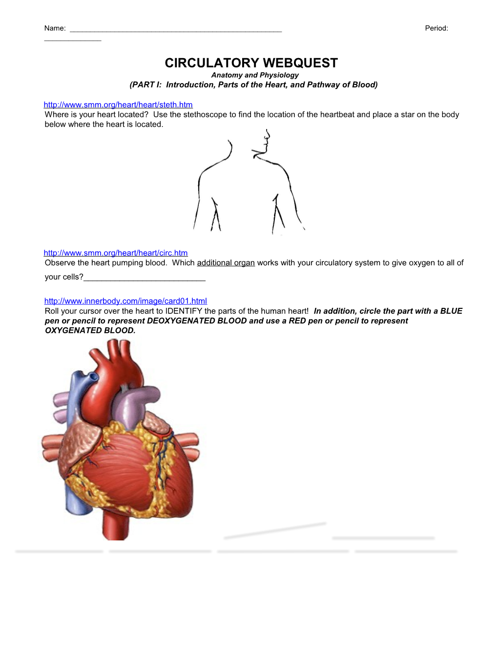 Prep Circulatory Webquest 2012